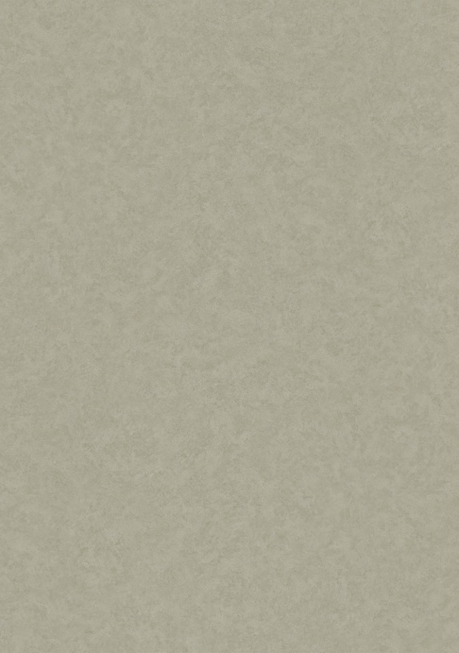 SPC WALL Panel - Cement Pietra Mate